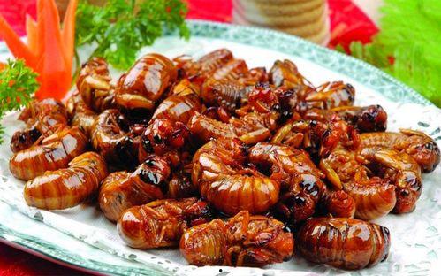 最新新康饭菜爆料图片高清,高清爆料图揭示美食新境界 第1张 最新新康饭菜爆料图片高清,高清爆料图揭示美食新境界 第1张