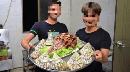 海鲜爆料博主有哪些呢视频,揭秘海鲜界的那些事儿  第2张